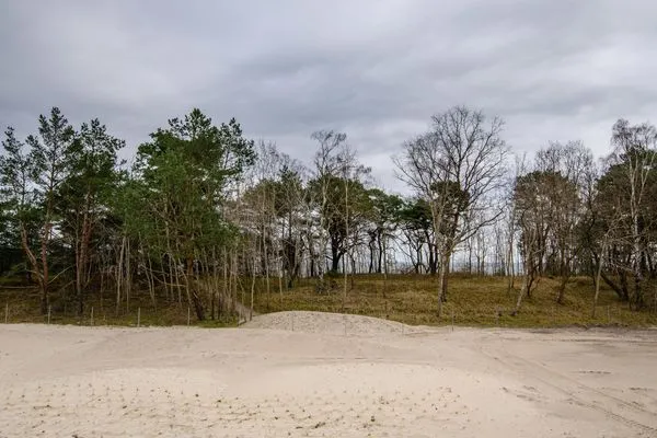 Strand  FeWo Seepferdchen in PRORA - 9.07