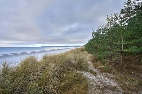 Strand  FeWo Seemannsgarn in PRORA - 7.04