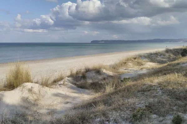 FeWo Treibholz in PRORA - 7.41-8  FeWo Treibholz in PRORA - 7.41