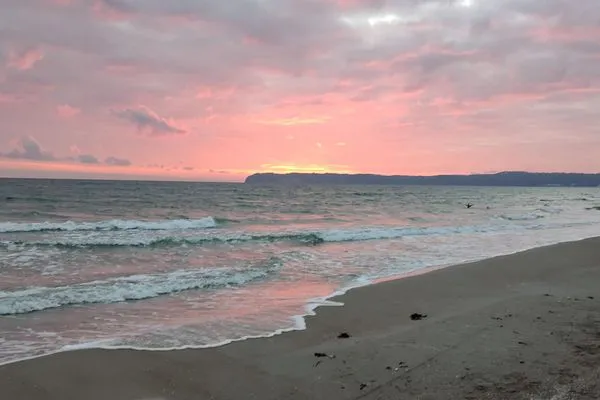 FeWo Treibholz in PRORA - 7.41-10  FeWo Treibholz in PRORA - 7.41