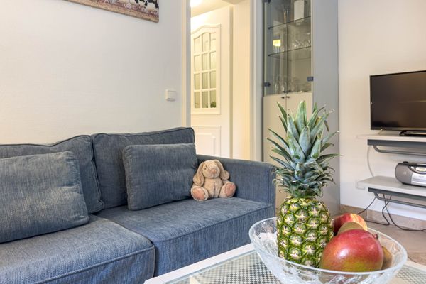 Friesenhof Whg. 11 Amrum - Wohnzimmer