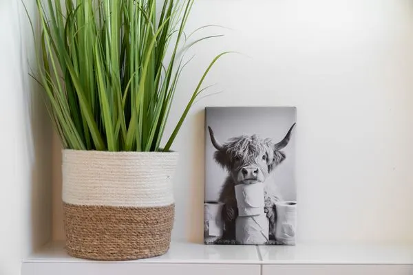 Tofthof Tofthof söss SPO Umland - 