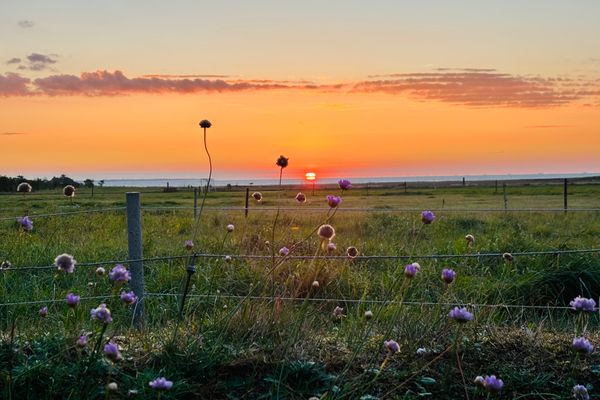 Witjhüs Whg. 2 Amrum - 