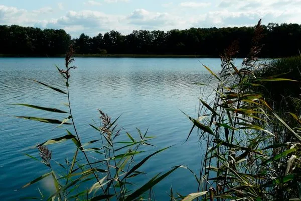   "Villa Frieda" Krakow am See