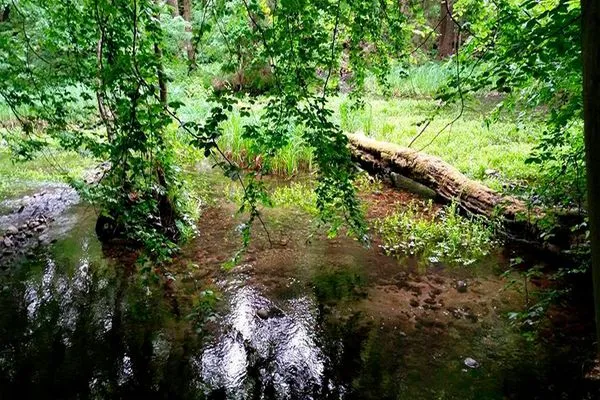   "Villa Frieda" Krakow am See