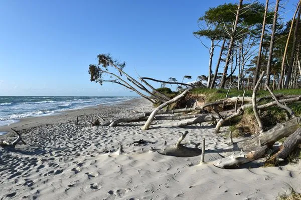 Ferienwohnung Apartment an der Seebrücke Zingst - Strand in Zingst  Apartment an der Seebrücke