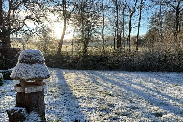 Garten  Reetdachkate Fuchsgraben