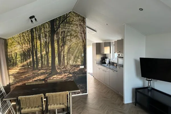  EuroParcs De IJssel Eilanden Chalet Reevemeer mit Steg IJE511