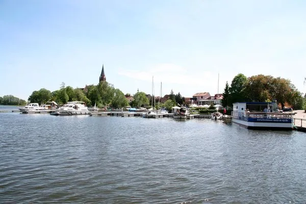 unter den Kiefern 109 OG-18  unter den Kiefern 109 OG