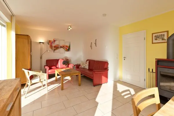 Kiebitz-intro  Kiebitz