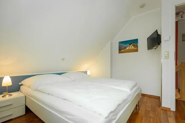 Haus Pangea-10  Haus Pangea