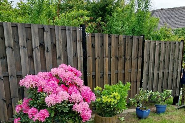  Ferienhaus Papa Wittmund - Garten