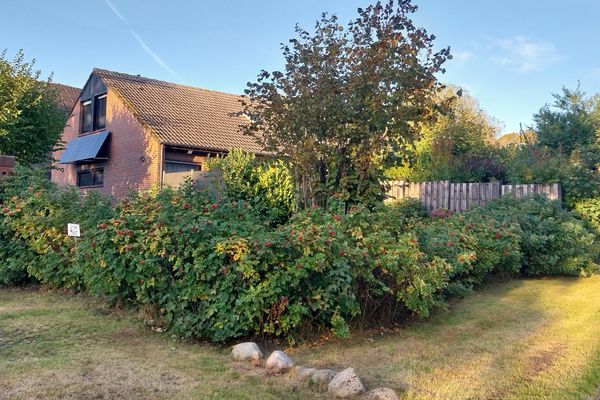  Ferienhaus Papa Wittmund - Garten