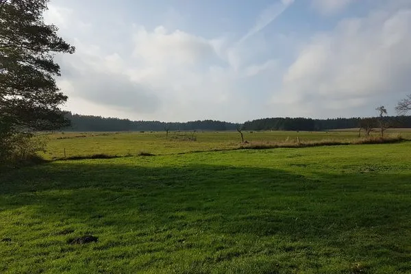   Bungalow nahe Lübbesee