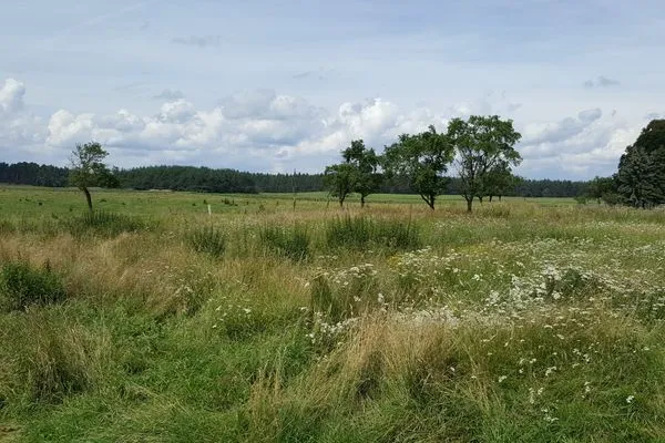   Bungalow nahe Lübbesee