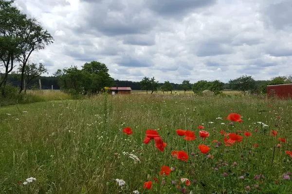   Bungalow nahe Lübbesee