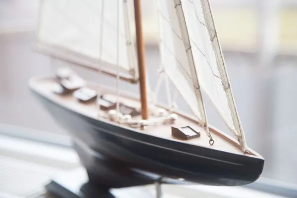 Dekoratives Detail Haus Seeadler Ferienwohnung Strandflieder