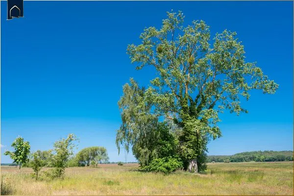   Ferienhaus Mellenthin