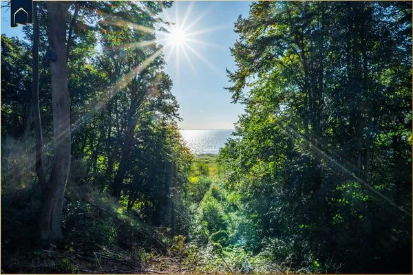   Ferienhaus Haff-Sommer