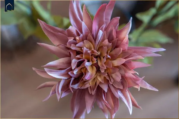   Ferienwohnung Haffhafen