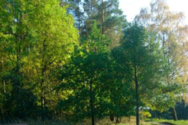   Ferienhaus am Holzendorfer See