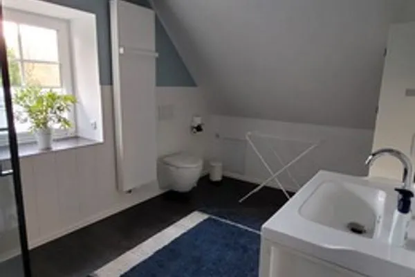   geraümige Wohnung im Grünen