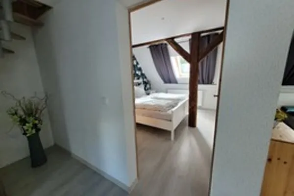   geraümige Wohnung im Grünen