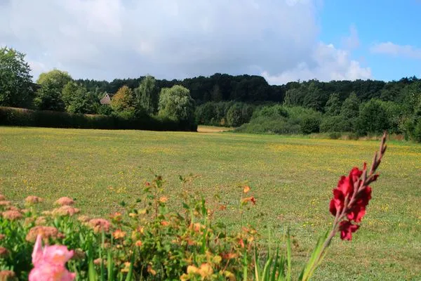   Ferienhaus Insel Rügen