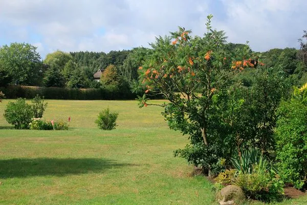   Ferienhaus Insel Rügen