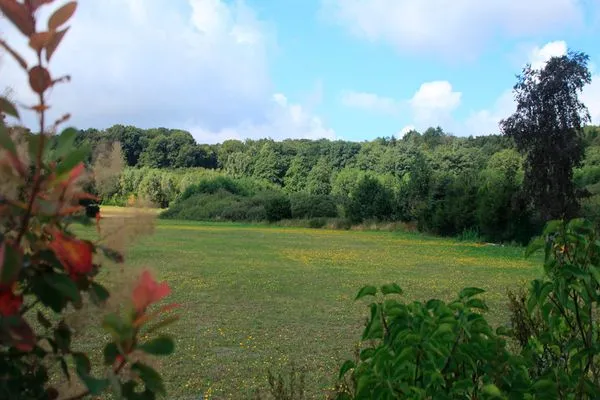   Ferienhaus Insel Rügen
