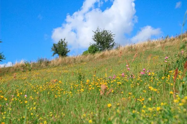   Ferienhaus Insel Rügen