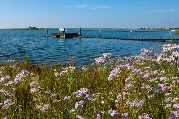 Scenery  Glück Ahoi