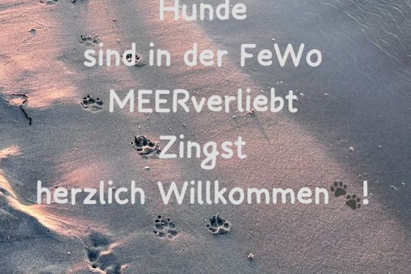  Hafenstraße 34 MEERverliebt Zingst - Dekoratives Detail