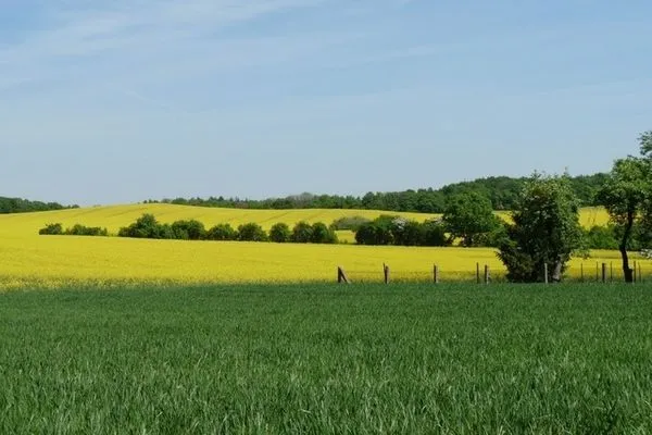   Ferienhaus im Grünen