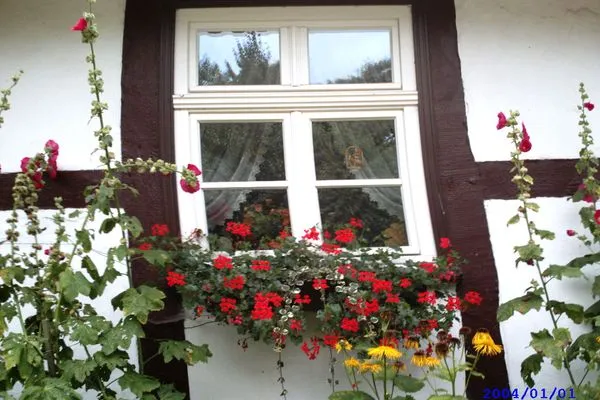   Wohnung in Ulrichshusen