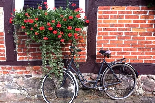   Wohnung in Ulrichshusen