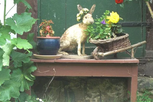   Wohnung in Ulrichshusen