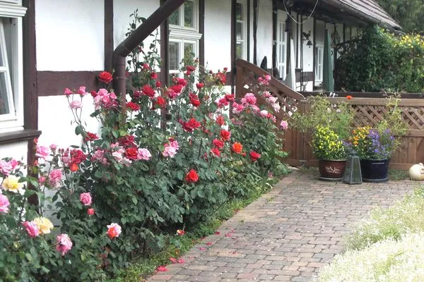   Wohnung in Ulrichshusen