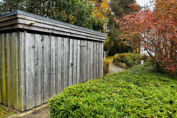  Möwennest Wieck - Garten