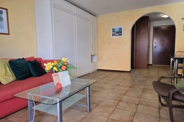 Living room  Casa Rivapiana, 1,5-Zimmerwohnung
