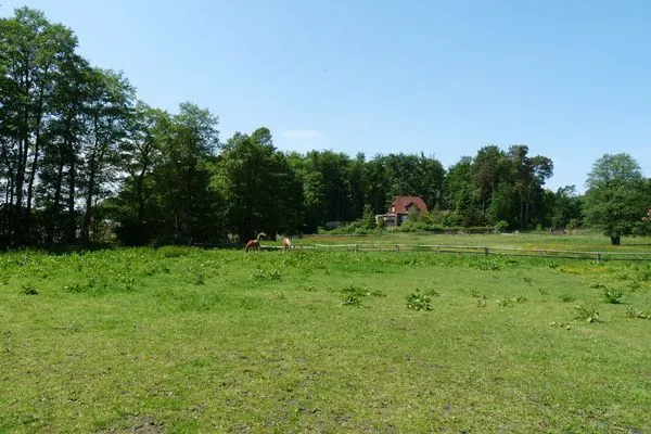   Ferienhaushälfte zum Plauer See