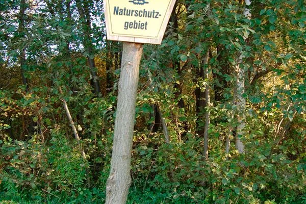   Ferienhaushälfte an der Müritz