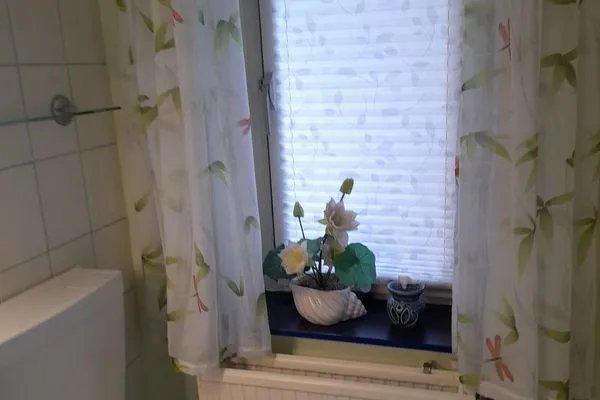   Ferienhaus im Spreewald