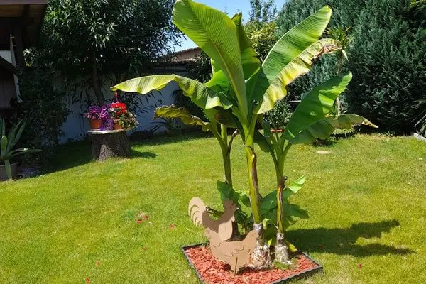   Ferienhaus im Spreewald