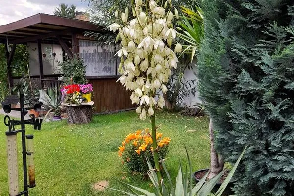   Ferienhaus im Spreewald