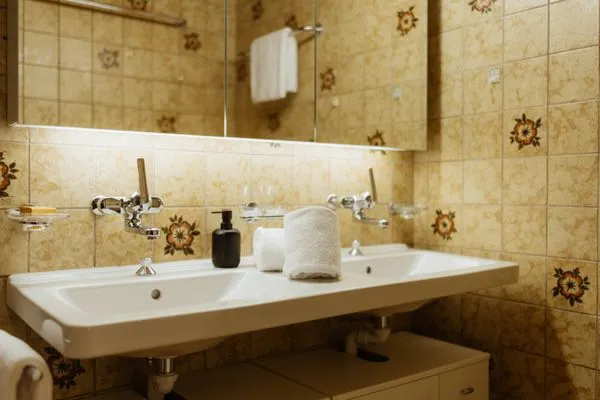 Bathroom  Apartment Enzian