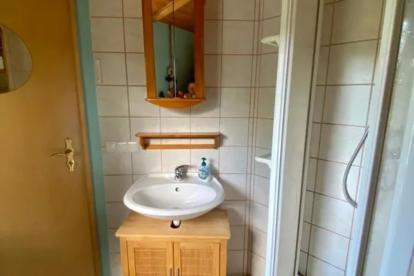   Ferienhaus mit Pool am See