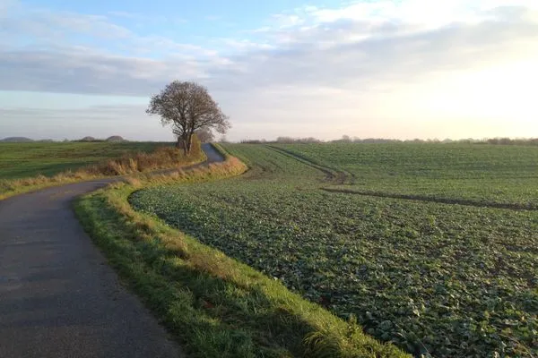 Spazierwege durch die Hügellandschaft Angeln  Ferienhaus Reethus Koppelkiek