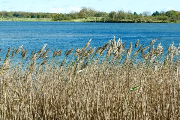 Spazierwege Halbinsel Holnis im Herbst  Appartement Reethus Koppelkiek