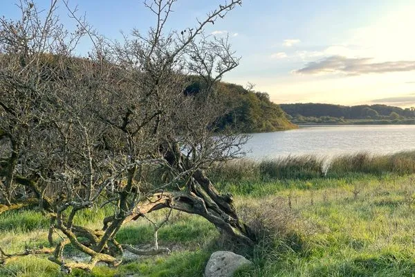 Winderatter See im Herbst (1km entfernt)  Appartement Reethus Koppelkiek